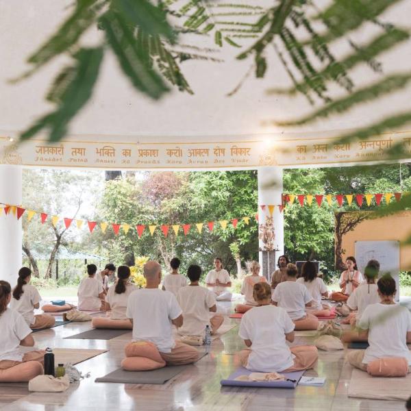Yoga Vini School